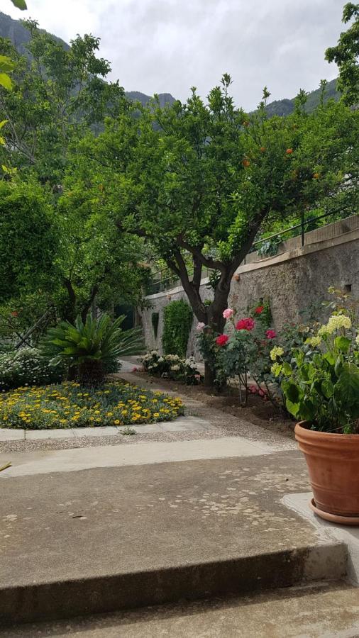 Hébergement de vacances Casa Anna Positano